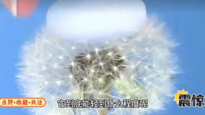 ​世界上最轻的固体，气凝胶！