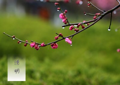 ​扫墓的感慨句子（清明节朋友圈说说）