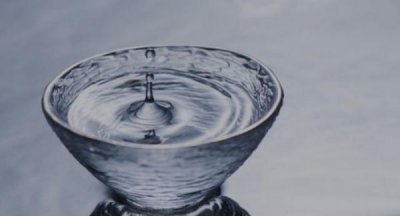 ​西凤酒官网(西凤酒招聘官网)