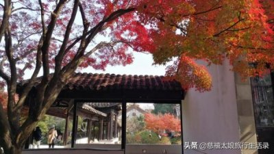 ​祖山老酒最贵多少钱(祖山老酒38度报价)