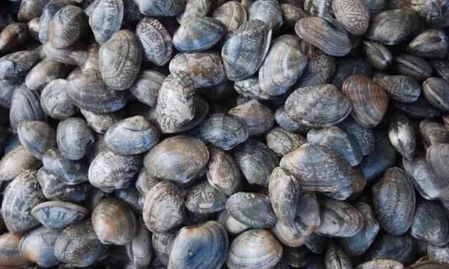 馇子怎么炒，炒叉子怎么做好吃？图7