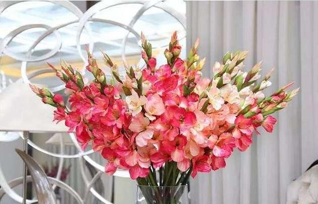 端午节礼物，端午节除了送粽子,还可以送什么礼物？图16