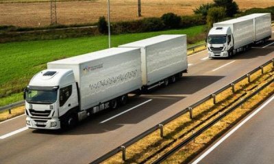 ​哪种酒不属于葡萄酒类？哪种葡萄不属于酿酒葡萄