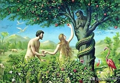 ​蛇为什么叫蛇精