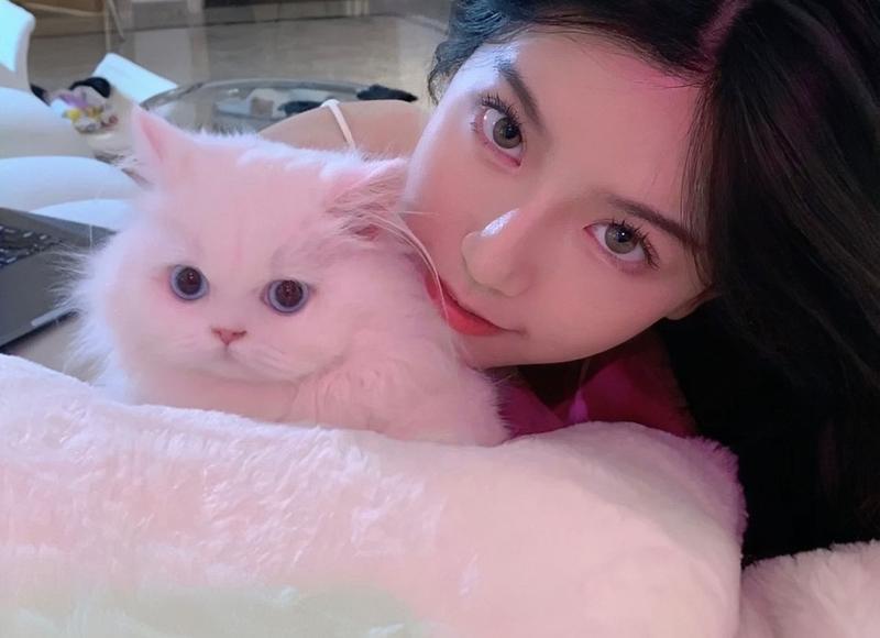 许家印和范冰冰（究竟是谁救了范冰冰）