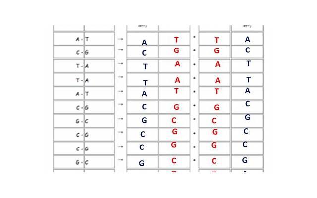 巴甫洛夫撩妹（巴甫洛夫的狗,极川）