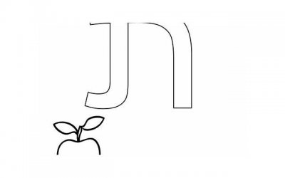 ​表白篮球（爱情转发的意思）