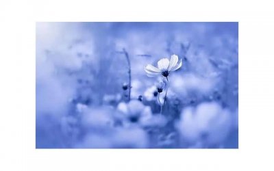 ​欲望女性专属的自慰宝典有哪些 欲望女自慰需要注意什么