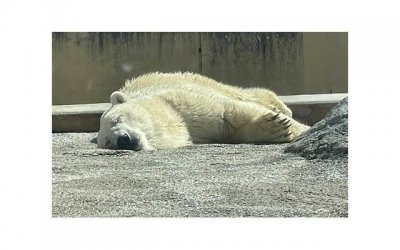 ​射手座的太阳光晕神秘现象探究