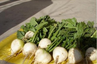 ​新疆特色恰玛古的做法 （收藏起来）