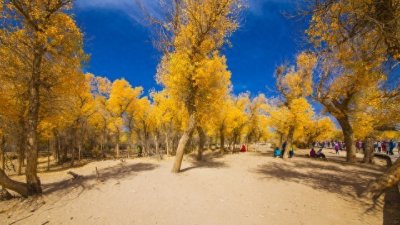 ​内蒙古十大景点不容错过