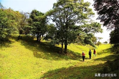 ​【罗定山韵 ② 】八排山：广东最美十大高山草原之一