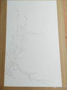 ​国画工笔——寒梅绘画欣赏