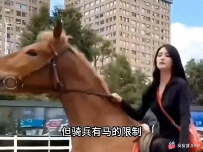 ​每日猎奇：骑兵，步兵和炮兵的区别