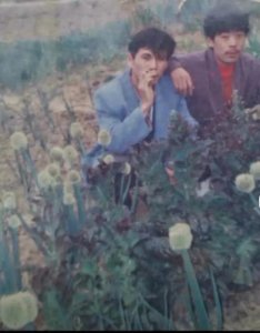 ​东北黑道风云二十年人物原型揭秘