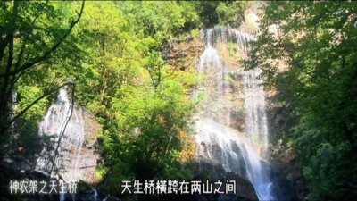 ​探索神农架的天然美景，走进天生桥的神秘世界。《灵秀湖北》