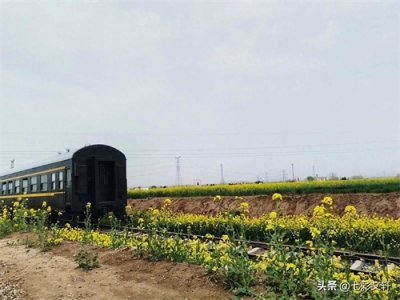 ​“载”的读音如何区分