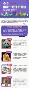 ​介绍一下：这几位是国家一级保护动物