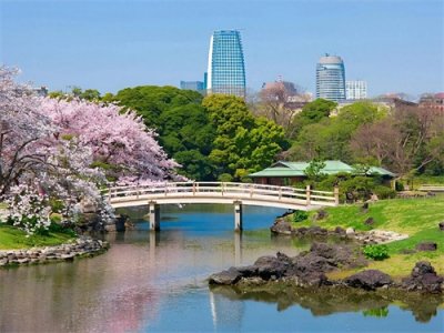 ​两个人去日本玩一周要花多少钱？