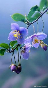 ​10个简单有趣的人生信条