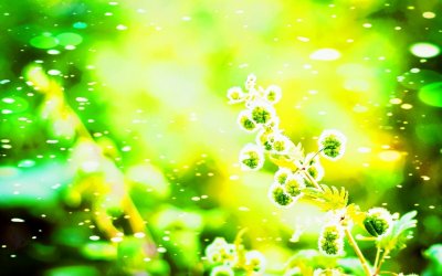 ​折臂三公 地下修文的典故你知道多少