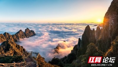 ​【每日一图@湖南】云海翻涌奇峰屹，壮丽宏伟在莽山