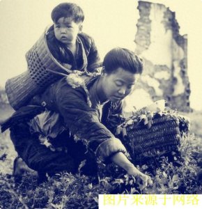 ​你知道什么是“采生折割”吗？这类人一旦被抓，就直接被千刀万剐