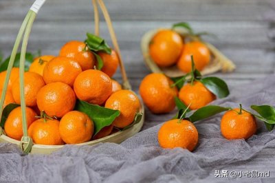 ​看病人买什么水果合适？