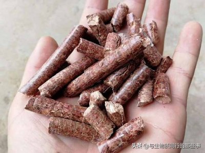 ​揭秘：生物质颗粒燃料的优势和利润