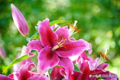 ​喜欢上一个人的本质是什么？