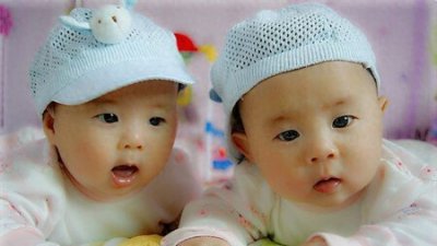 ​爆款揭秘：龙凤胎究竟是什么？为何被视为幸运象征？