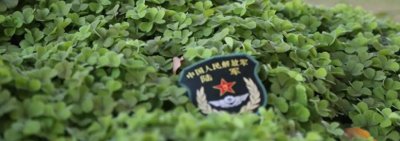 ​2025报考提前批军校需要什么条件？附选科要求及分数线