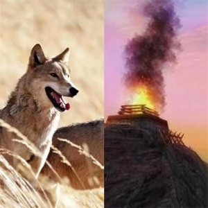 ​长城烽火台上的狼烟，与狼有什么关系？