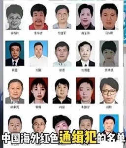 ​什么是红通人员？