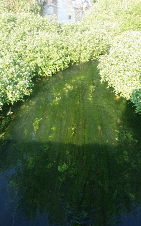 户县十景：还好大多美景尚在，想看来得及！