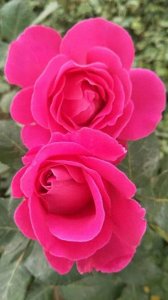 ​情侣必看：超刺激两性知识大揭秘