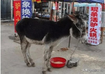 ​中国十大禁菜，每道菜做法极其残忍，颠覆你的三观。