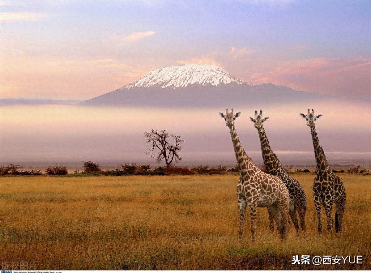 世界十大山脉，每一个都是奇迹，看看有你家乡吗？