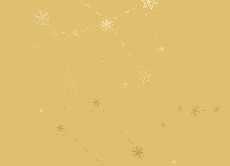 埃里克森认知发展