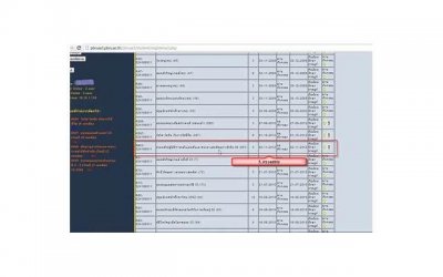 ​辛芷蕾被怼，怼小辛芷蕾的他被骂上热搜