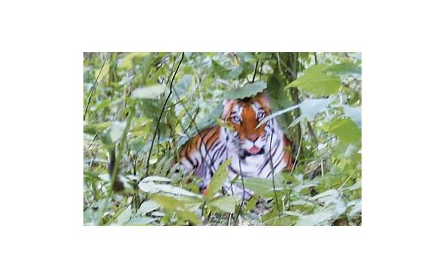 真心话比较狠的问题 真心话比较狠的问题有哪些