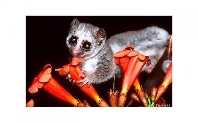 ​最好用的失恋治愈法