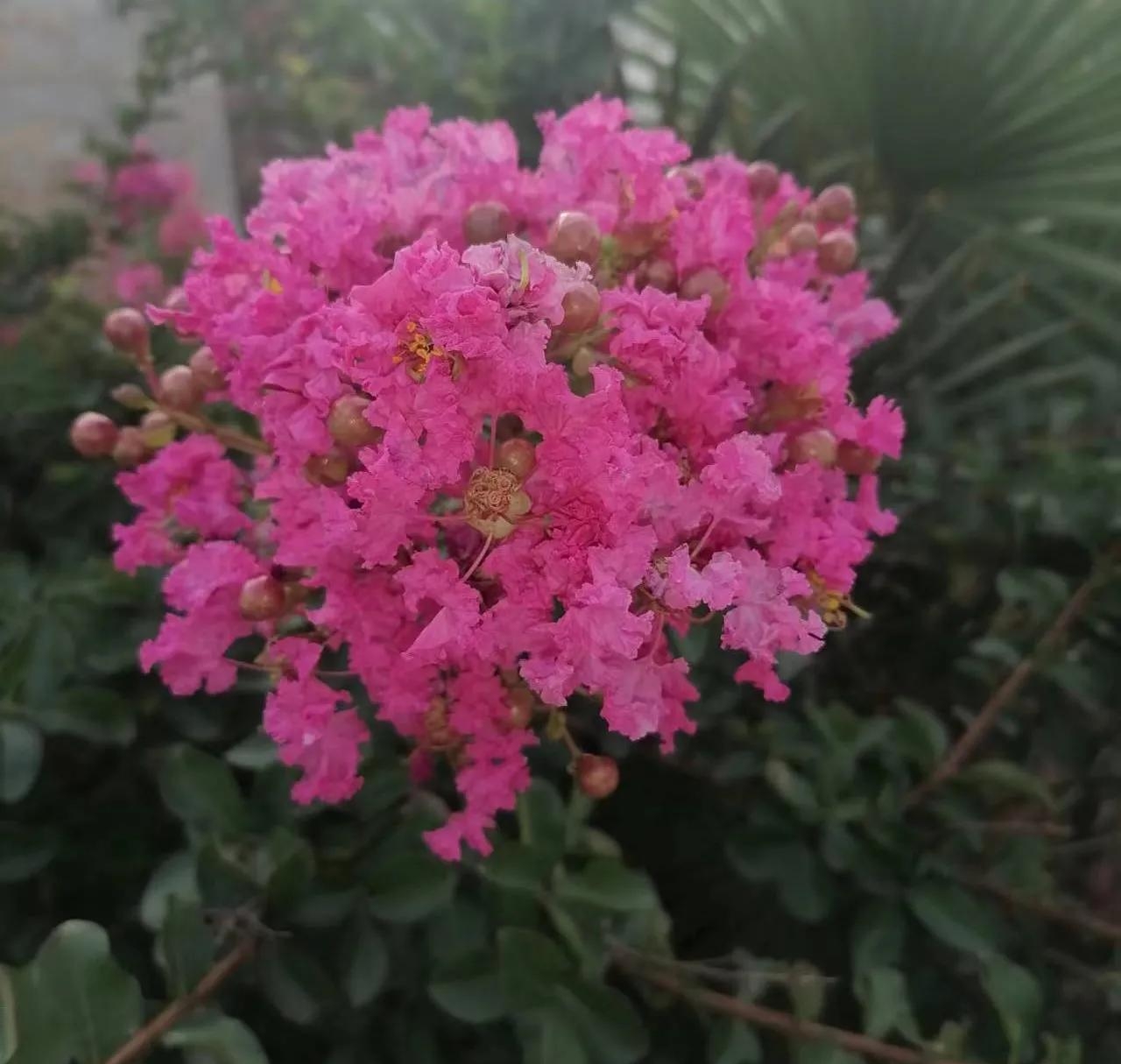 这个世界我曾经来过是什么歌曲(这世界曾经来过是什么歌)  第2张