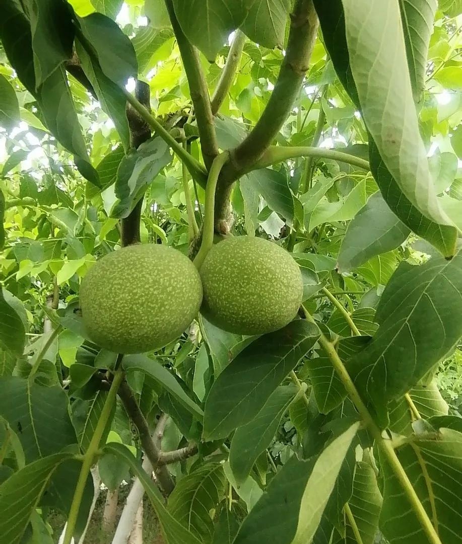 这个世界我曾经来过是什么歌曲(这世界曾经来过是什么歌)  第1张