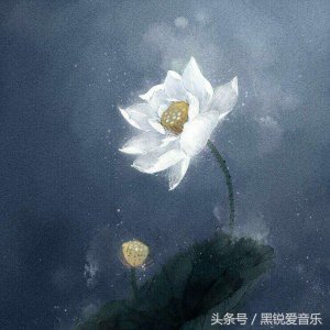 ​这些歌曲背后的真实故事让人心碎，愿这个世界越来越好！