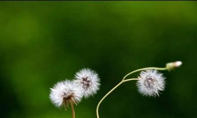 ​这个世界上有很多遗憾(这个世界上有太多无法言说的遗憾)