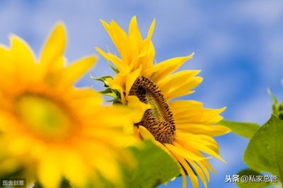 ​爱情没什么道理，爱情是世界上最没道理的东西