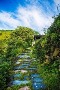 ​杜荀鹤：唐代著名诗人的传奇一生