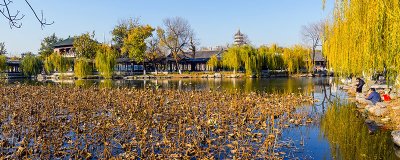 ​天津人民公园攻略 天津人民公园游玩攻略