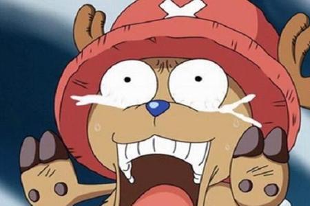 海贼王乔巴两年后变大是第几集